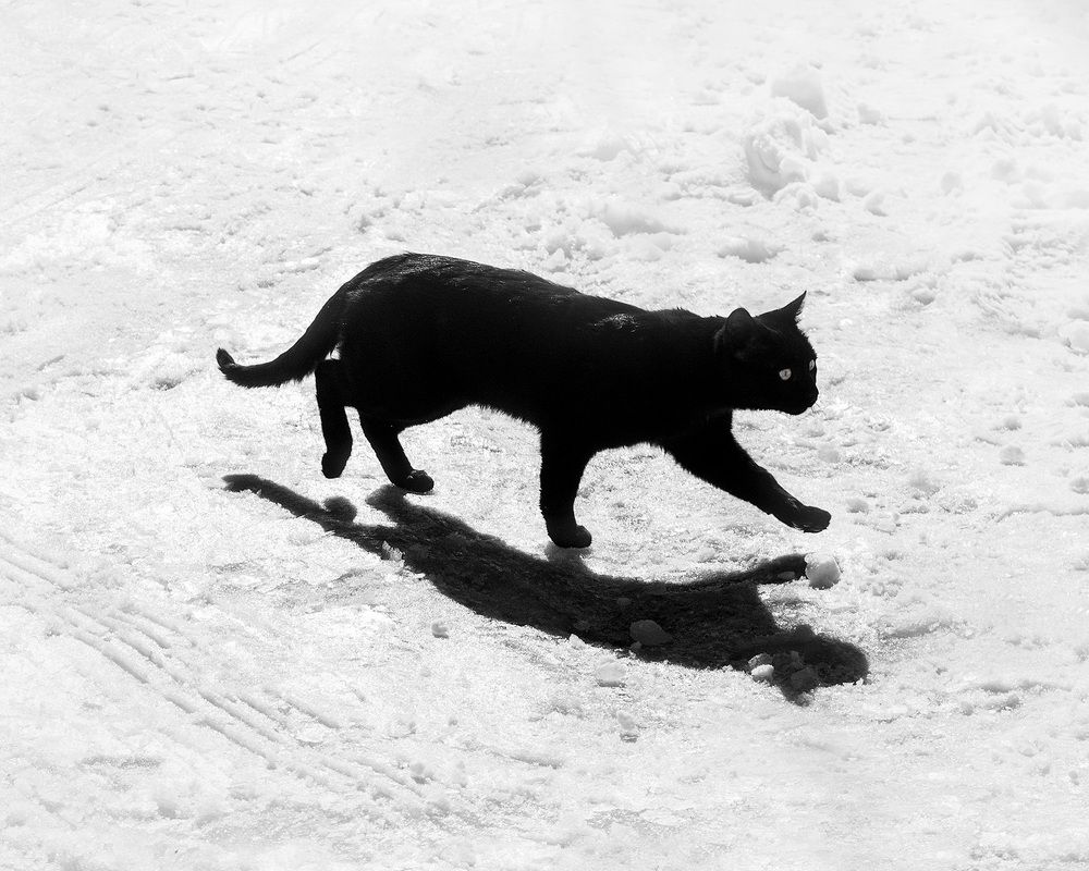 Photograph by Farzad Ajori