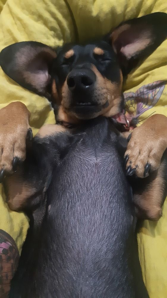 Photograph by Аліса Чарівна