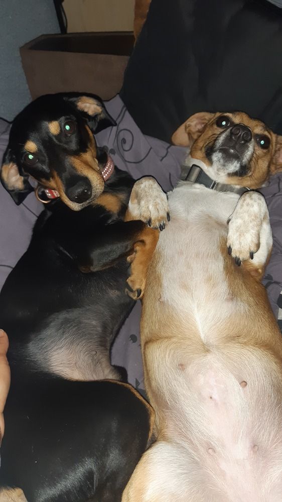 Photograph by Аліса Чарівна