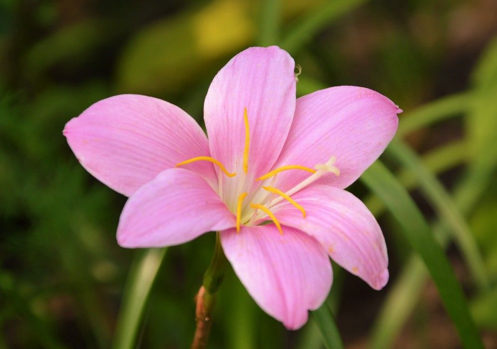 Photograph by Андрей Звездов