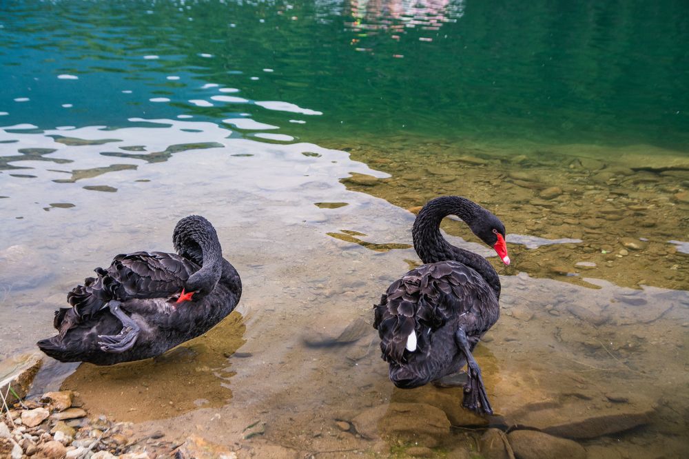 Фотография автора Анастасия Шахотская