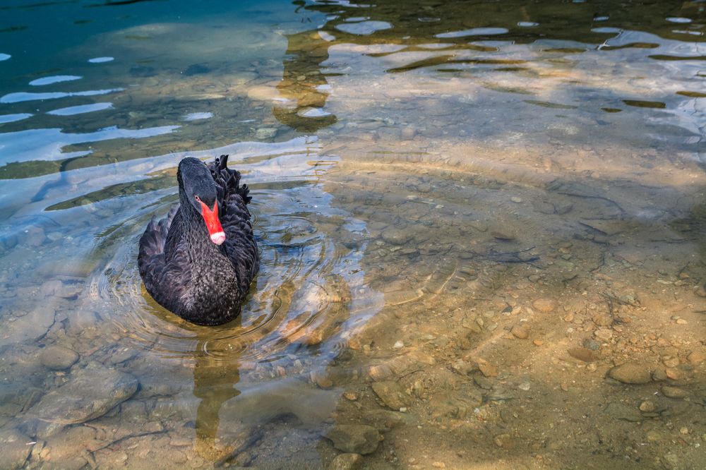 Фотография автора Анастасия Шахотская