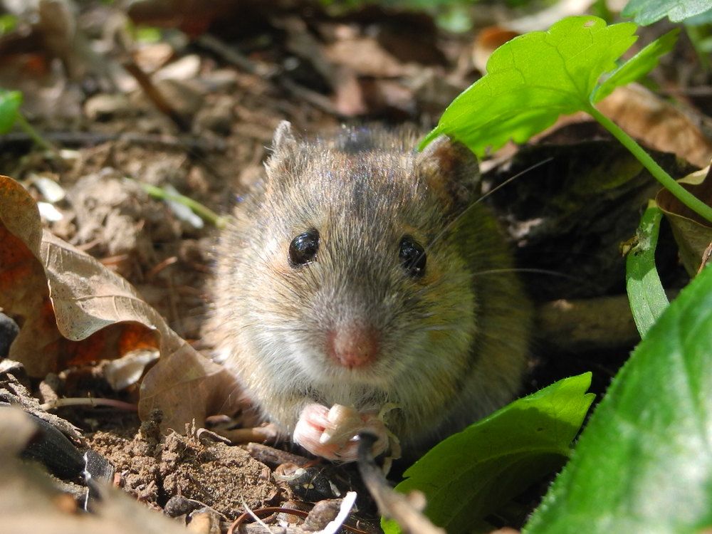 Photograph by Андрей Головин