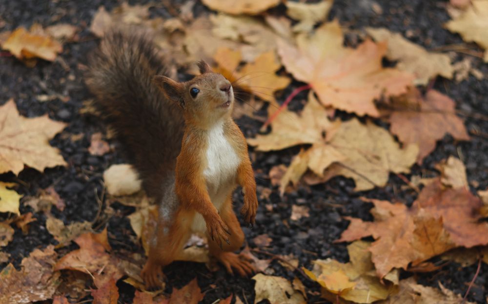 Photograph by Элиза Миникаева