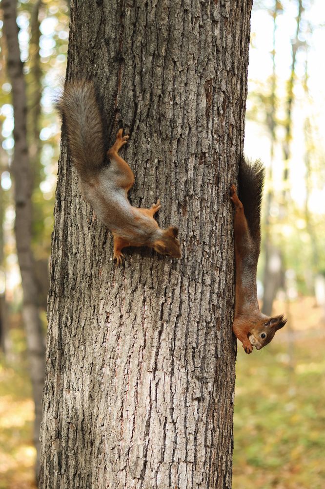Photograph by Элиза Миникаева
