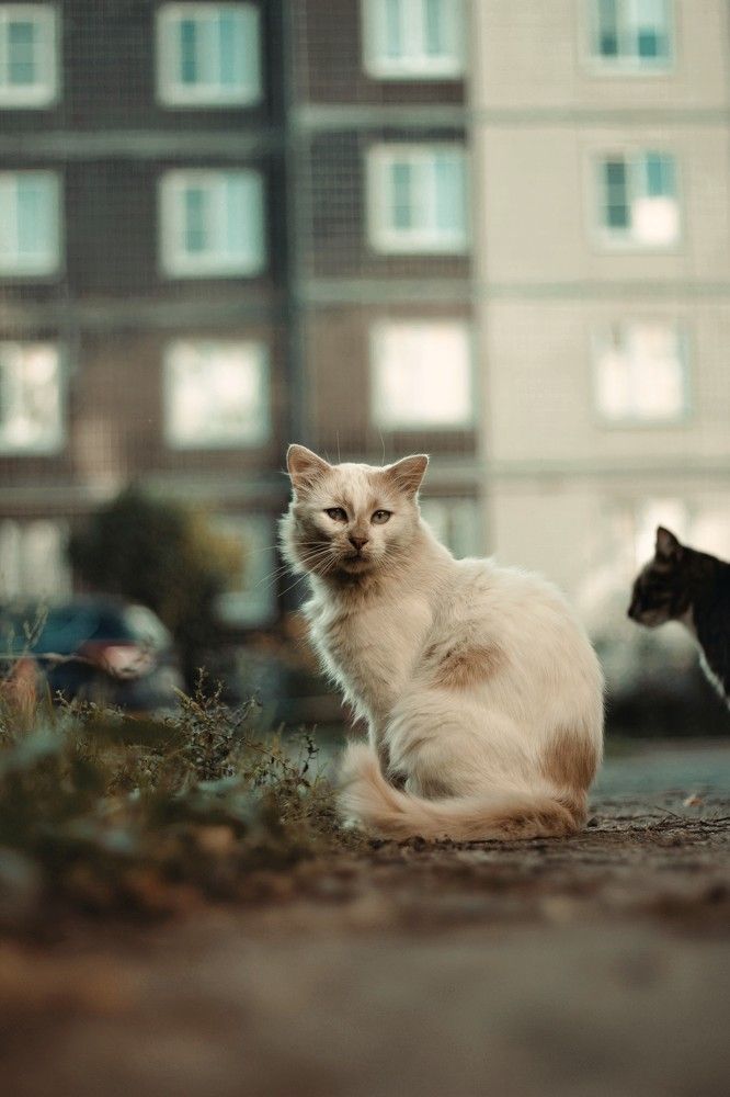 Photograph by Uliyana Moiseenko