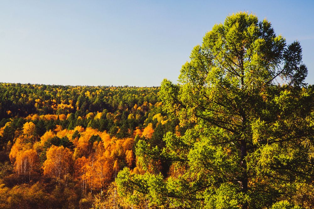 Оленьи ручьи. Урал