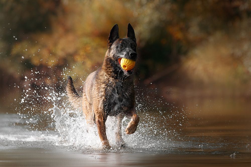 Photograph by Мария Шерскова