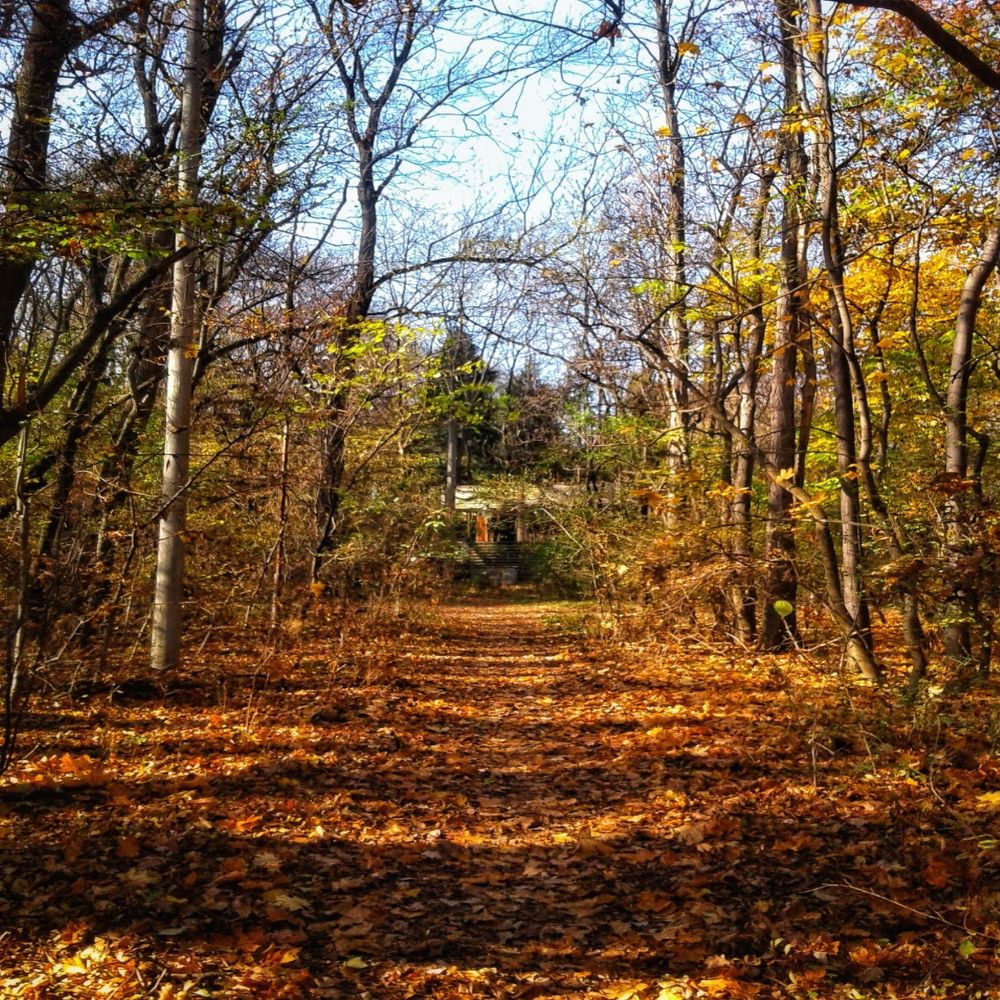 Photograph by Назифе Идилли Озкол