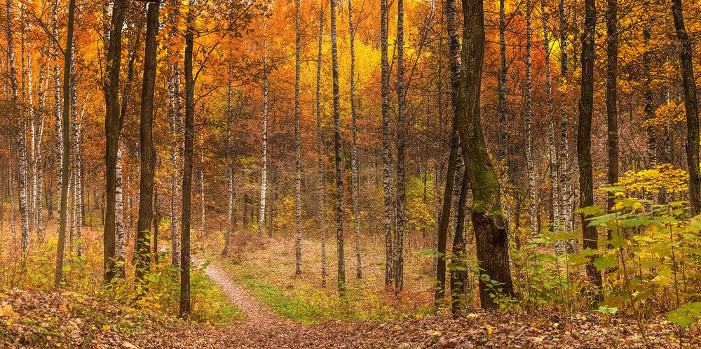 Photograph by Наталья Суслова