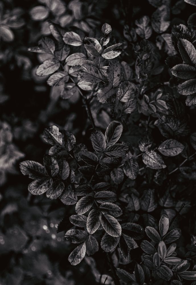 Photograph by Галина Патрушева