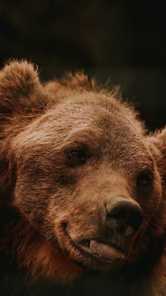 Photograph by Даниил Сырбу