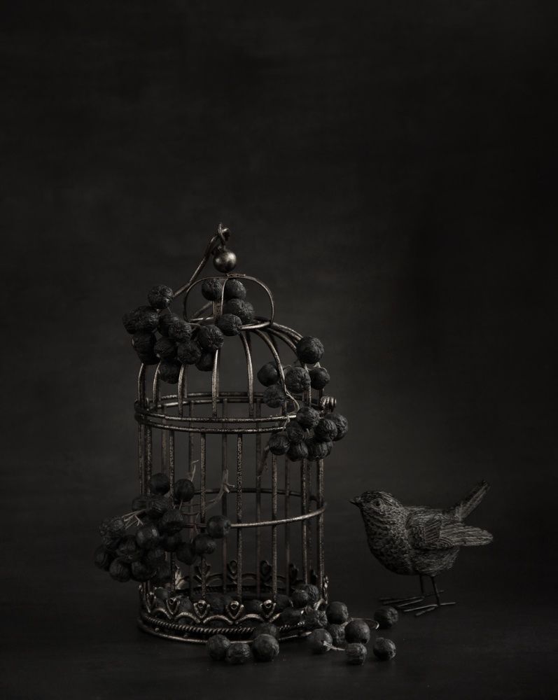 Photograph by Елена Доянова