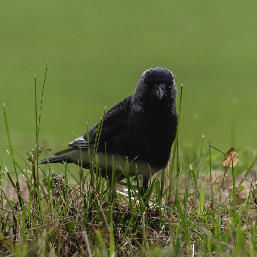 Photograph by Anton Leonchikov