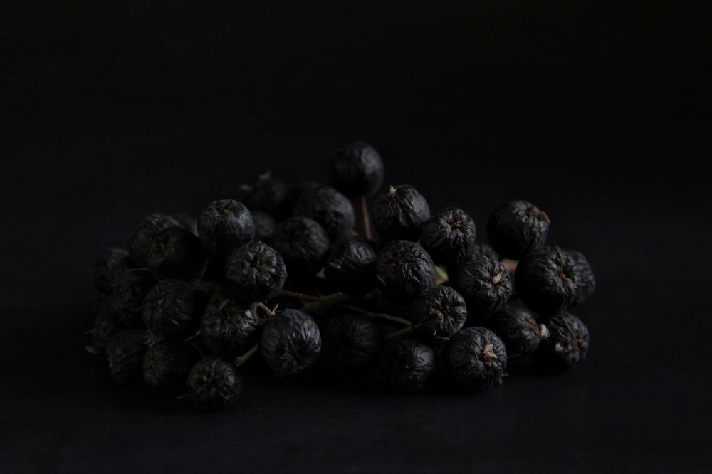 Фотография автора Елена Доянова