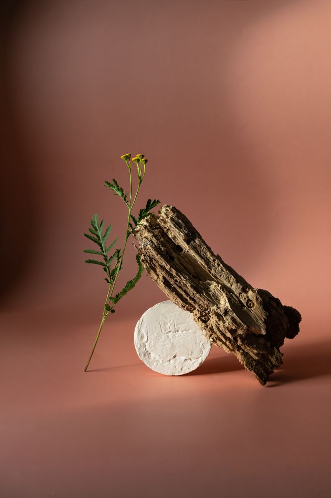 Фотография автора Светлана Бобошина