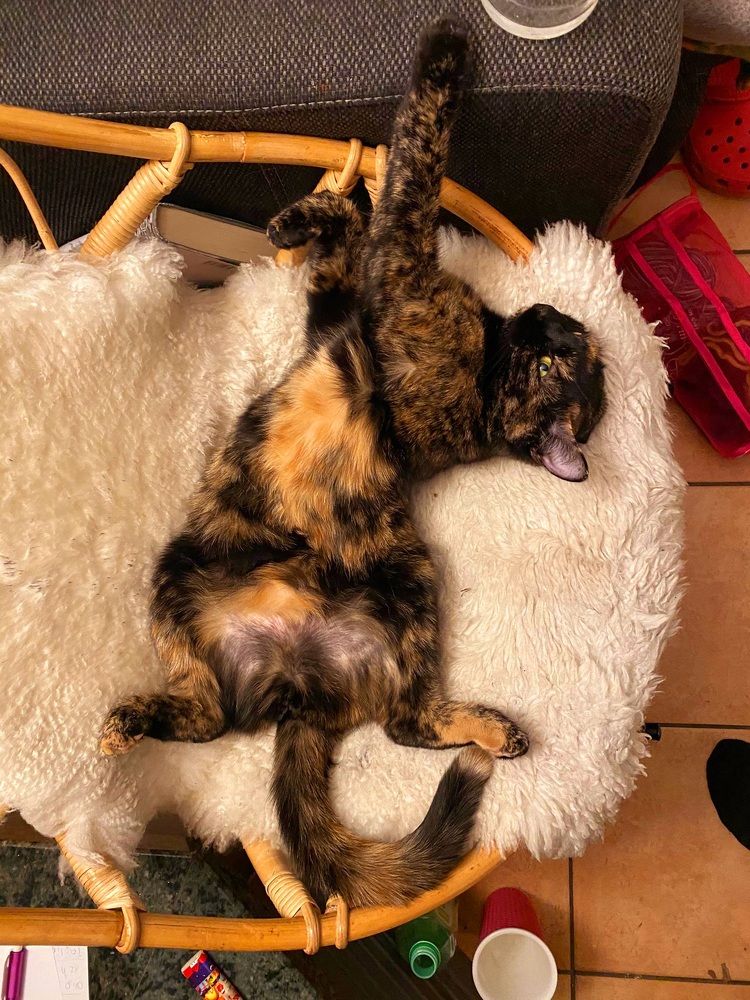 Photograph by Sonia Crotta