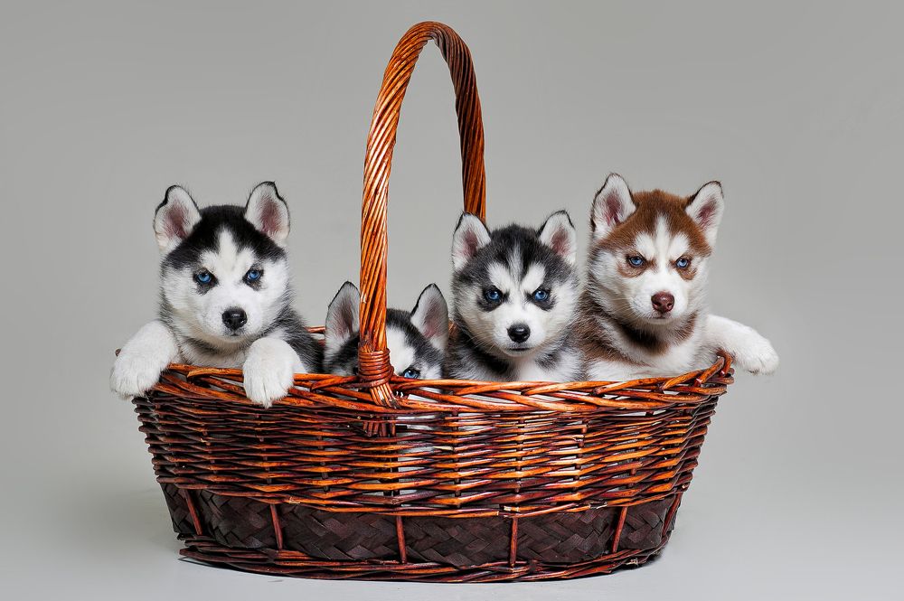 Photograph by Ольга Калимулина