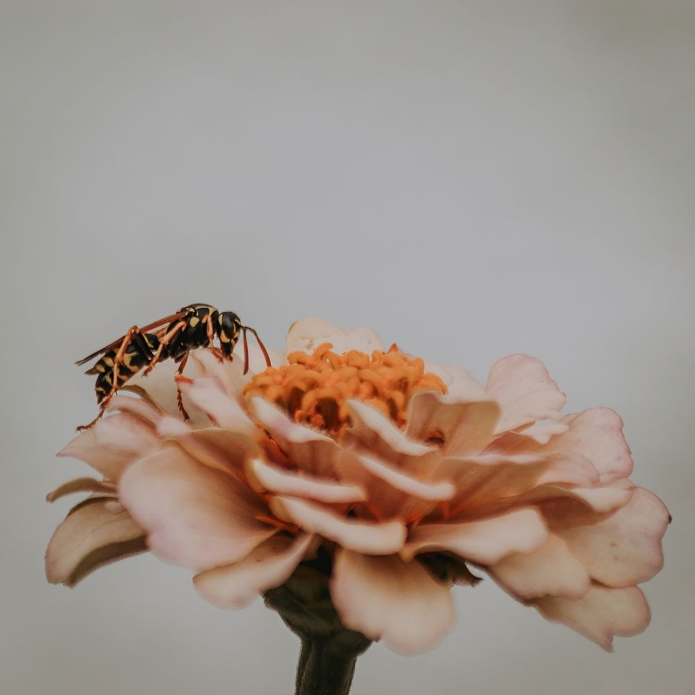 Photograph by Даниил Сырбу