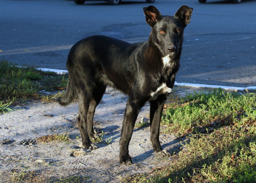 Фотография автора Валерий Цуркан