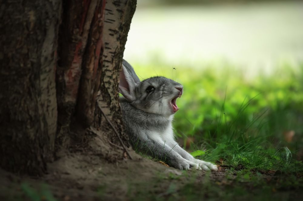 Photograph by Ольга Рагинская