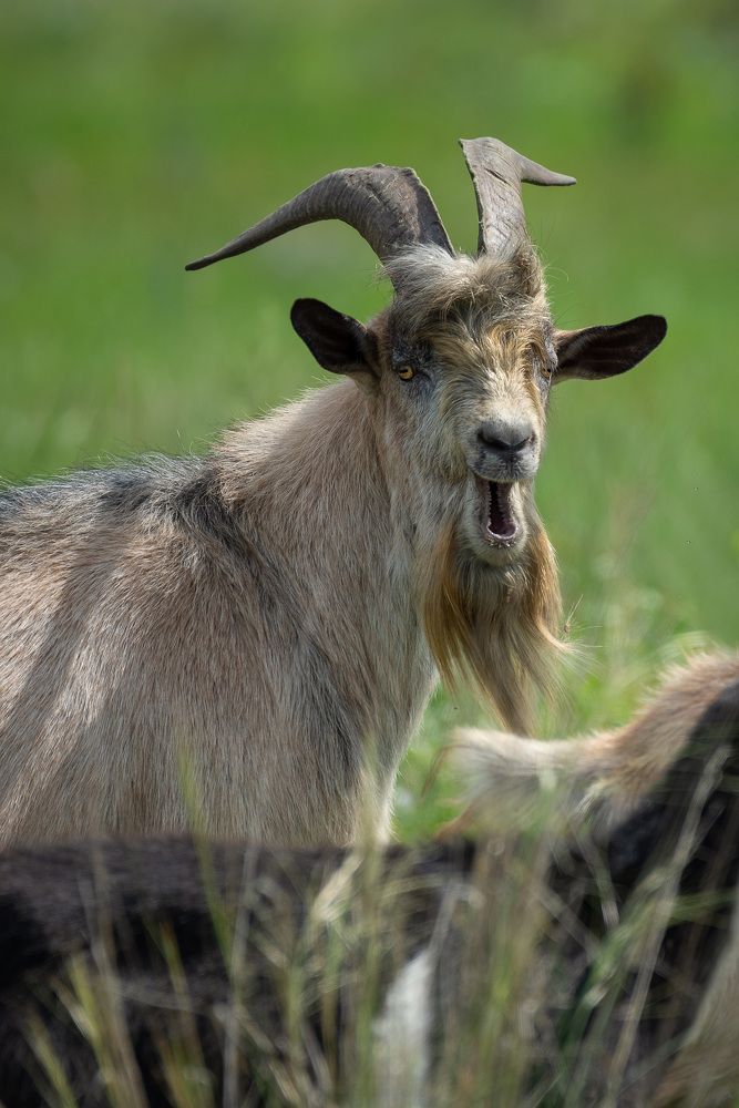 Photograph by Ольга Рагинская