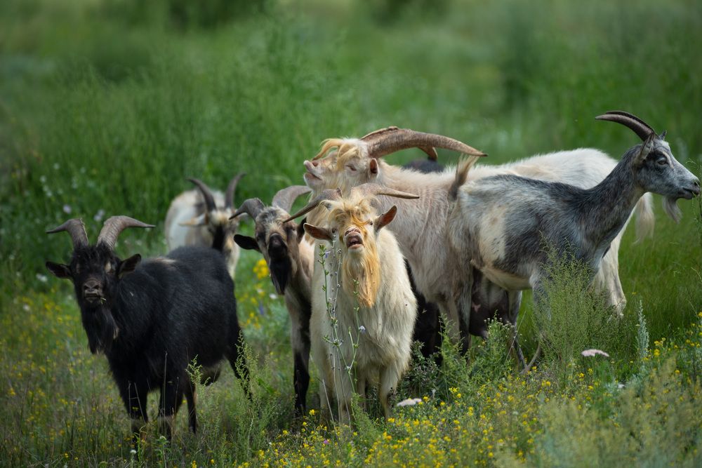 Photograph by Ольга Рагинская