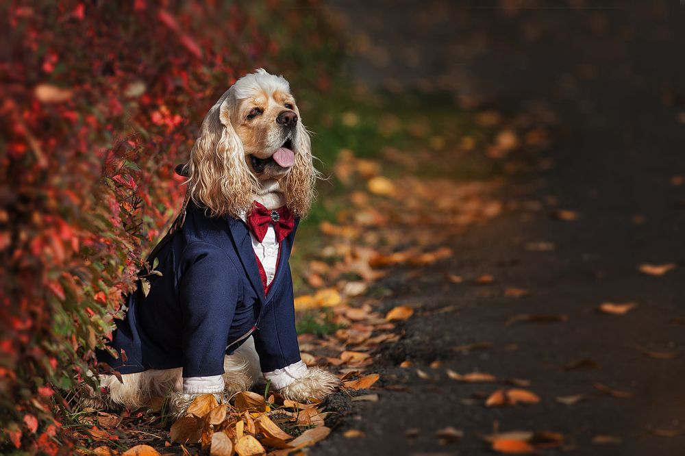 Photograph by Ольга Калимулина