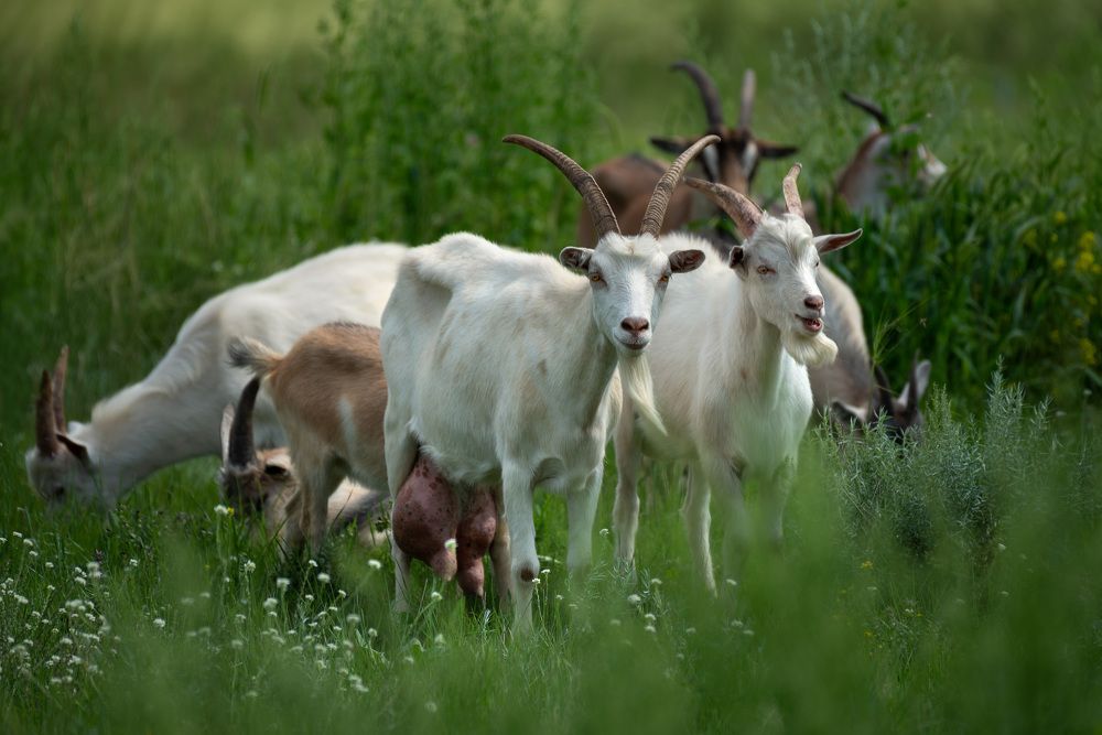 Photograph by Ольга Рагинская