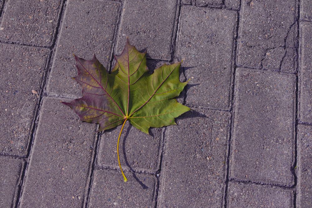Photograph by Виктор Саврей