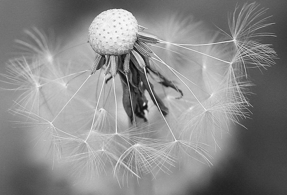 Photograph by Наталья Задерновская