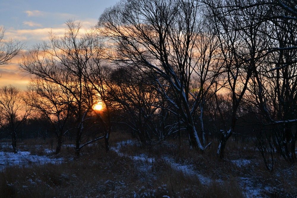 Photograph by Андрей Звездов