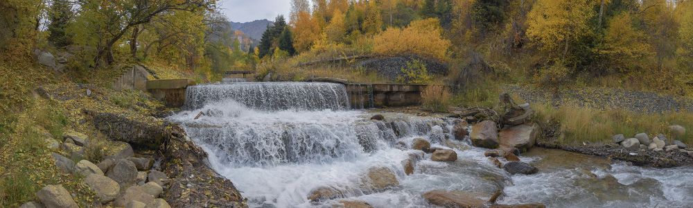 Фотография автора Владимир Пронин