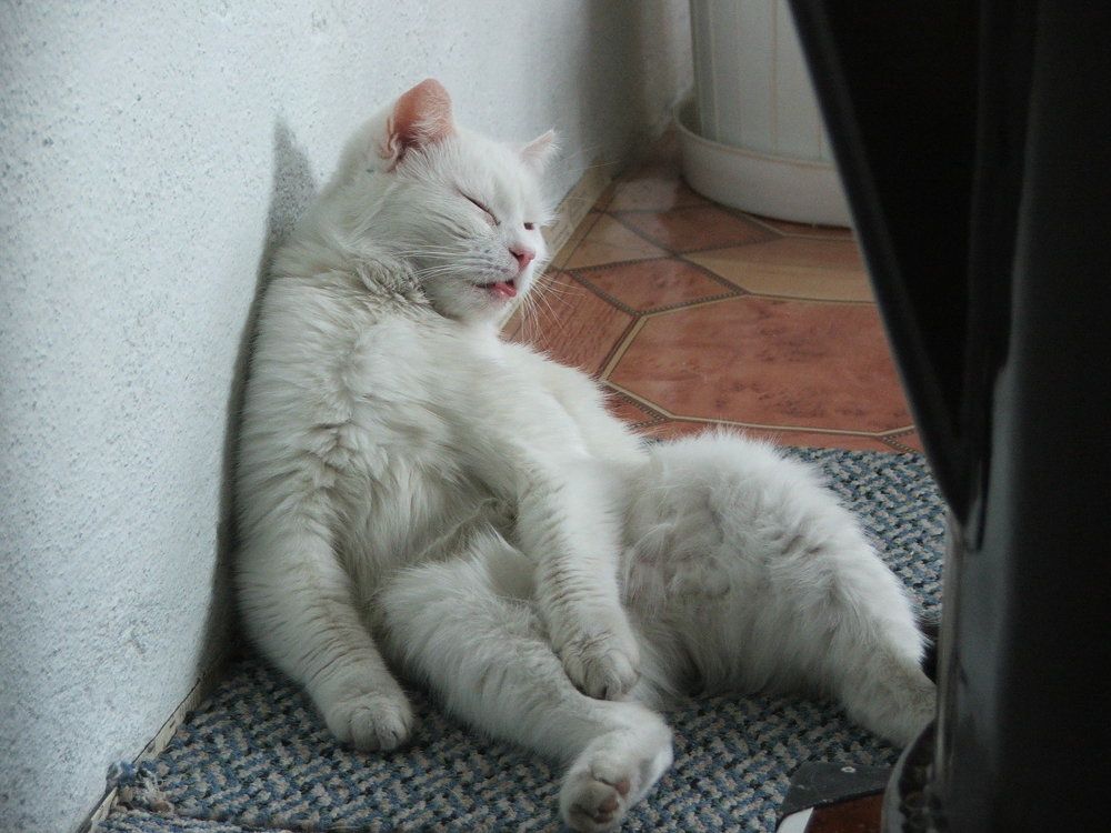 Photograph by Cengiz Yalcin