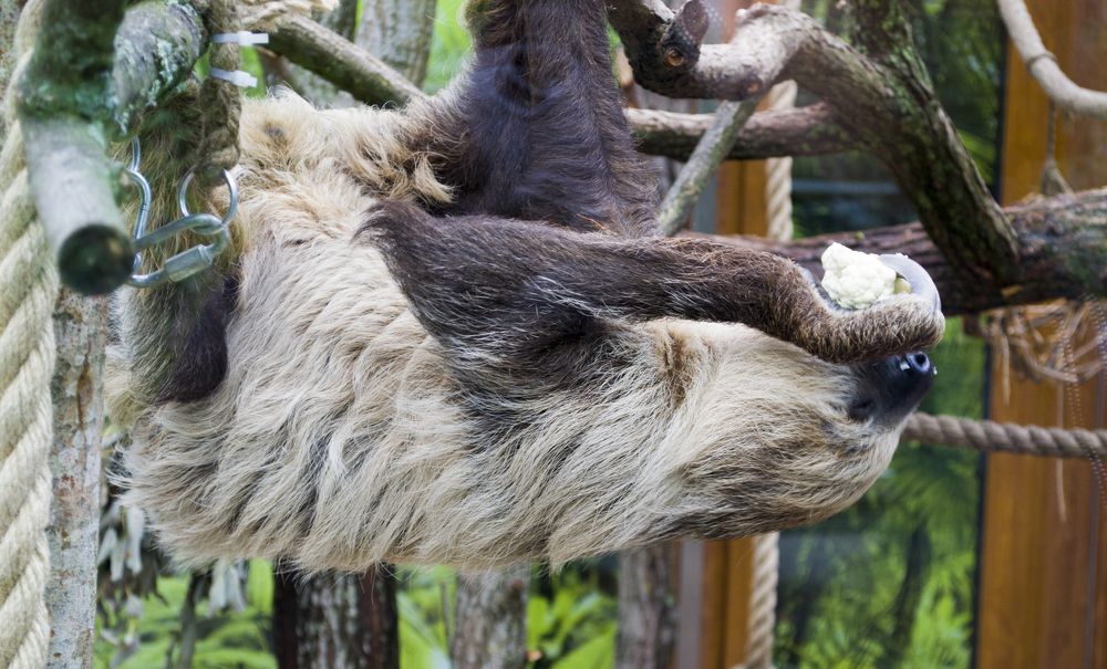 Photograph by Елизавета Большакова