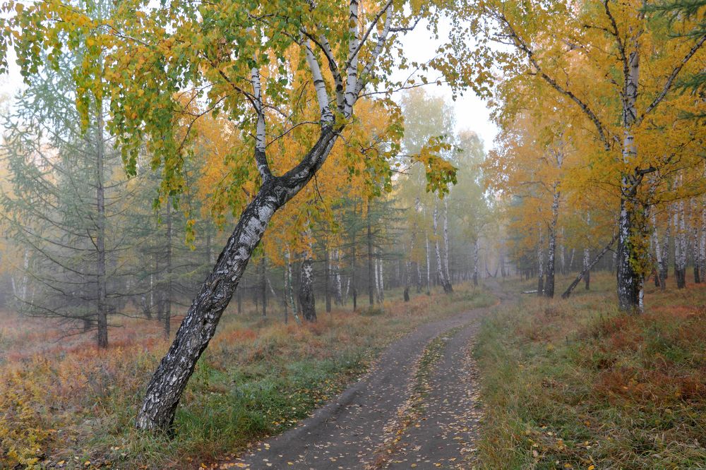 Фотография автора Кухта Мария