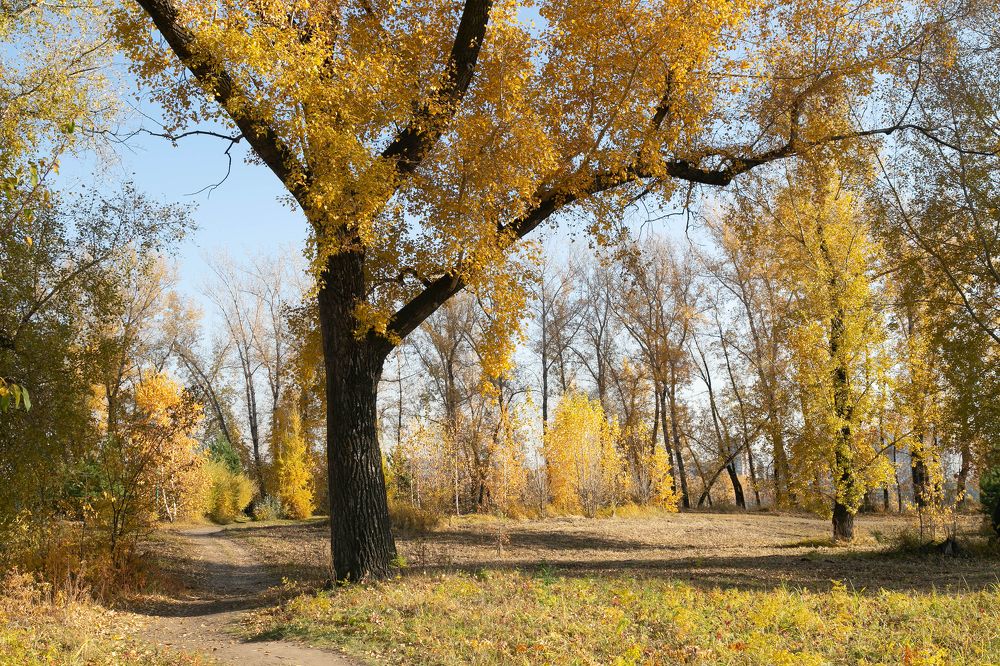 Photograph by Андрей Ходыкин