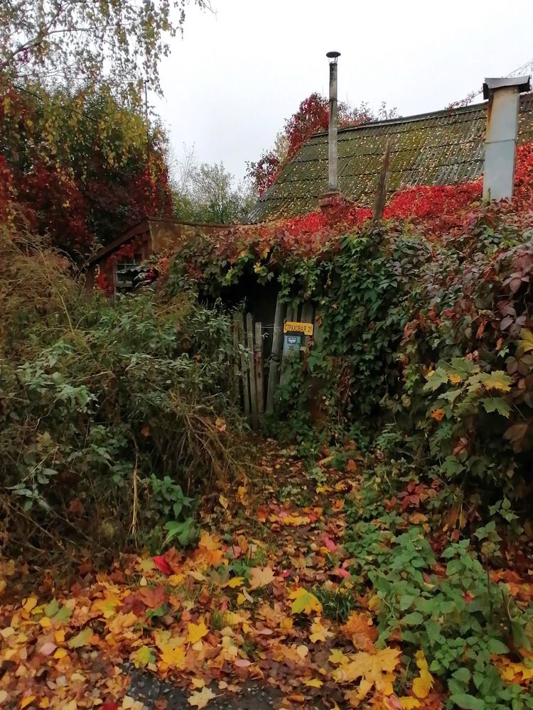 Photograph by Татьяна Ненюхина