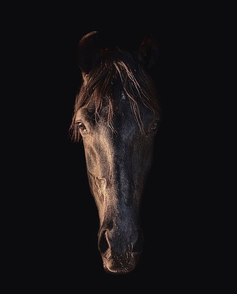 Photograph by Katerina Pustoshnaia