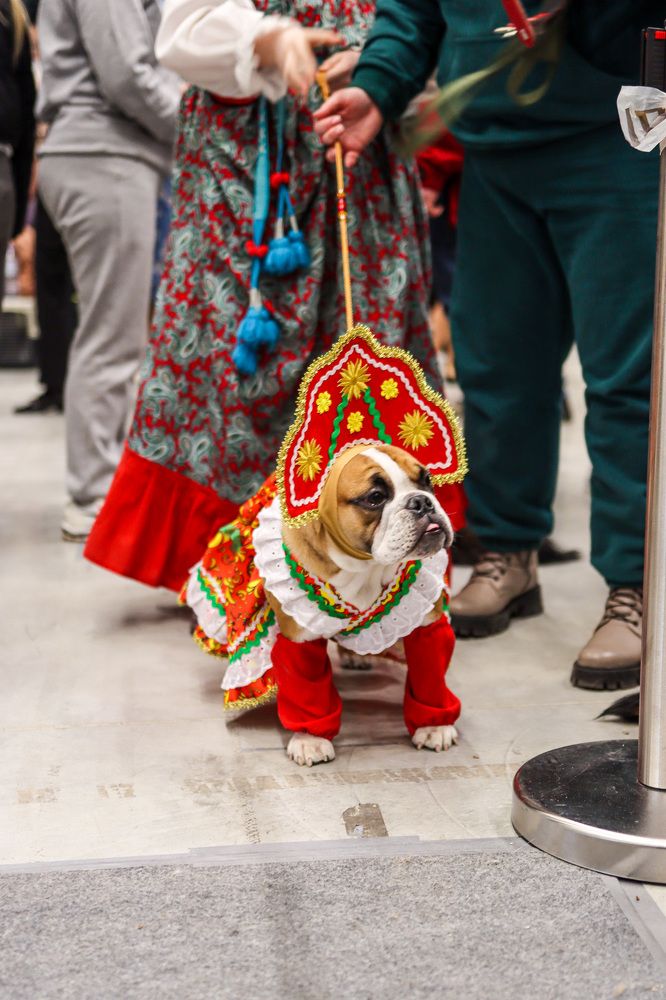 Русская Красавица из Сибири