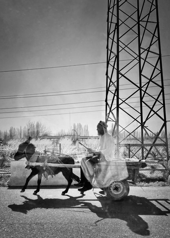 Фотография автора ГУЗАЛИЯ ГАНИЕВА