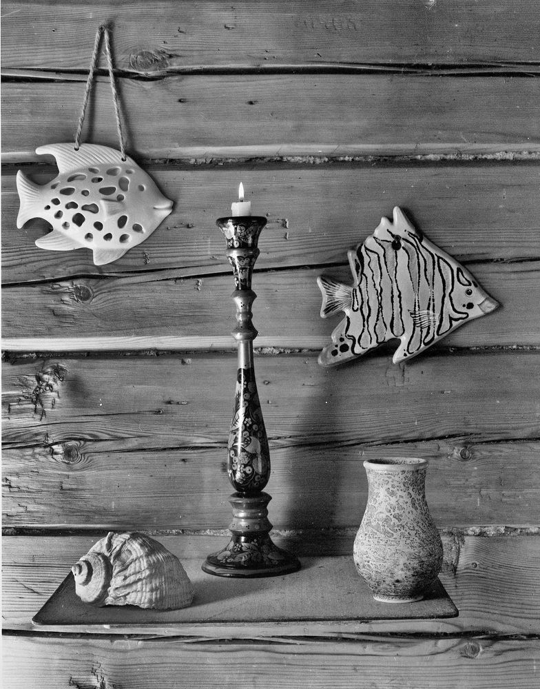 Photograph by Kuzmichev Alexey