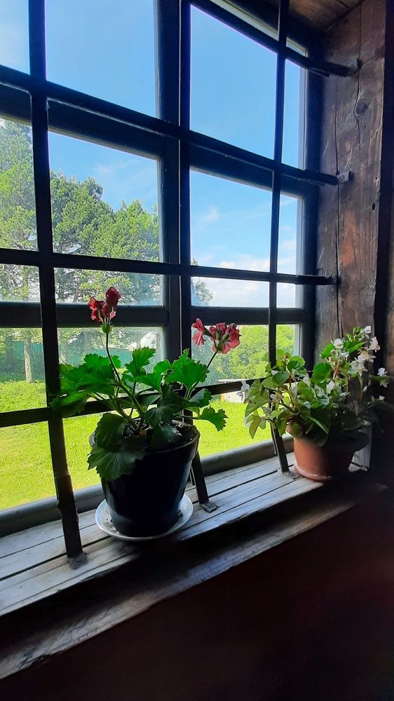 Photograph by Ольга Новоселова