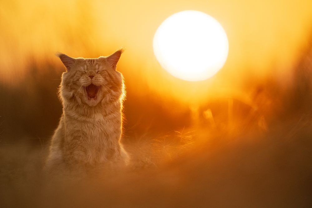 Photograph by Rok Štirn