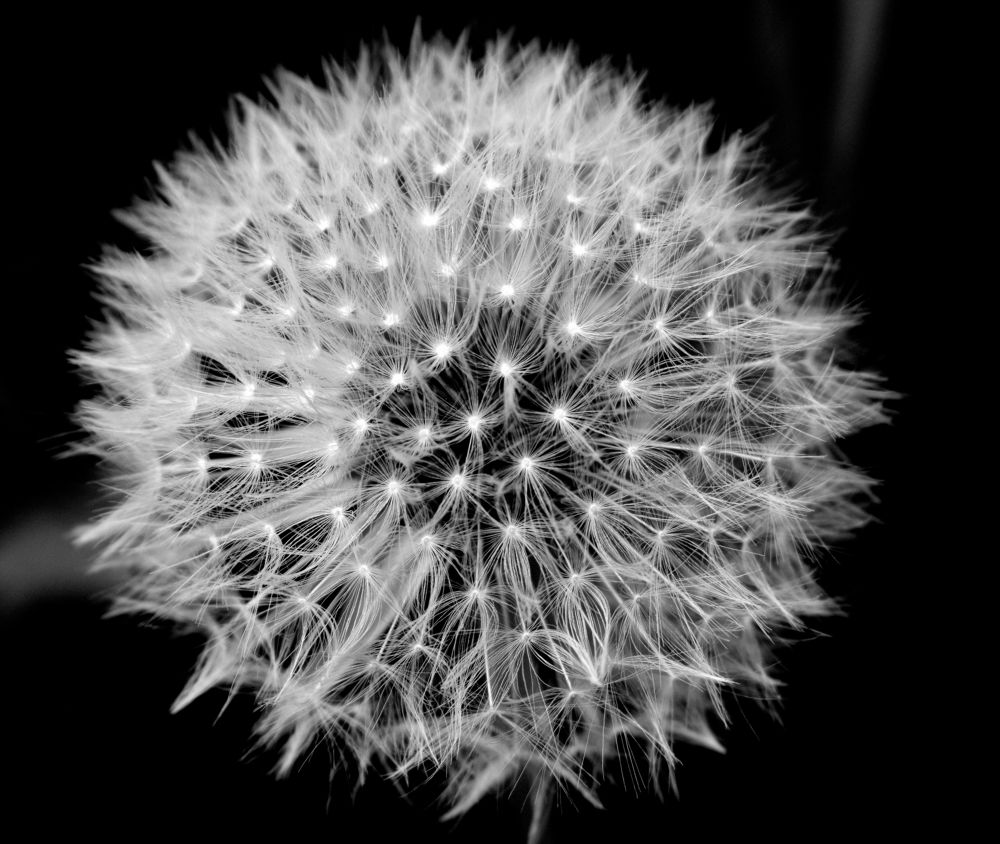 Станьте ближе к своей мечте!!!