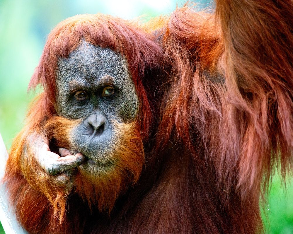 Photograph by David Lerer