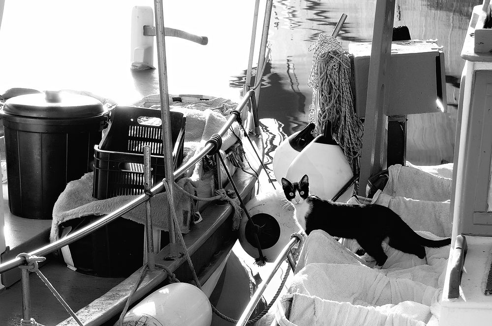 Photograph by Сергей Калинин