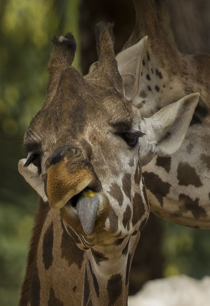 Photograph by Ángel Pera