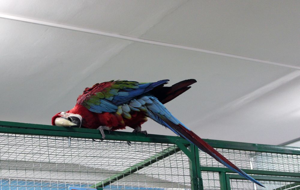 Фотография автора Валерий Цуркан