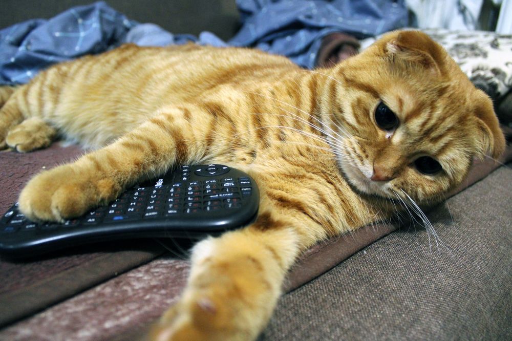 Фотография автора Валерий Цуркан